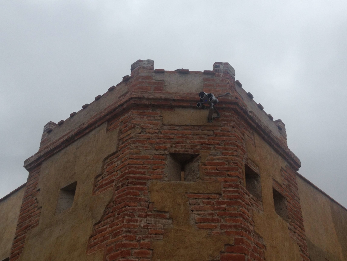 IMG_3938.jpeg