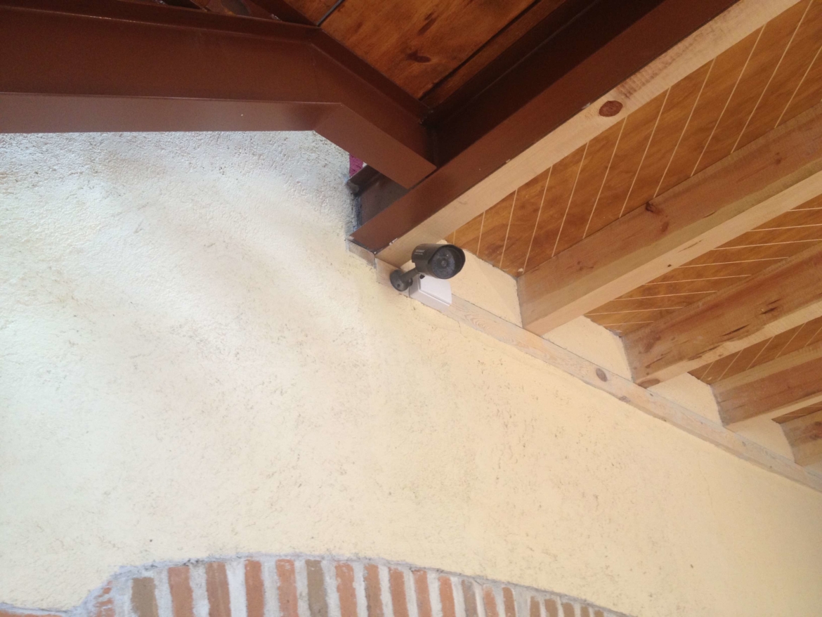 IMG_3939.jpeg