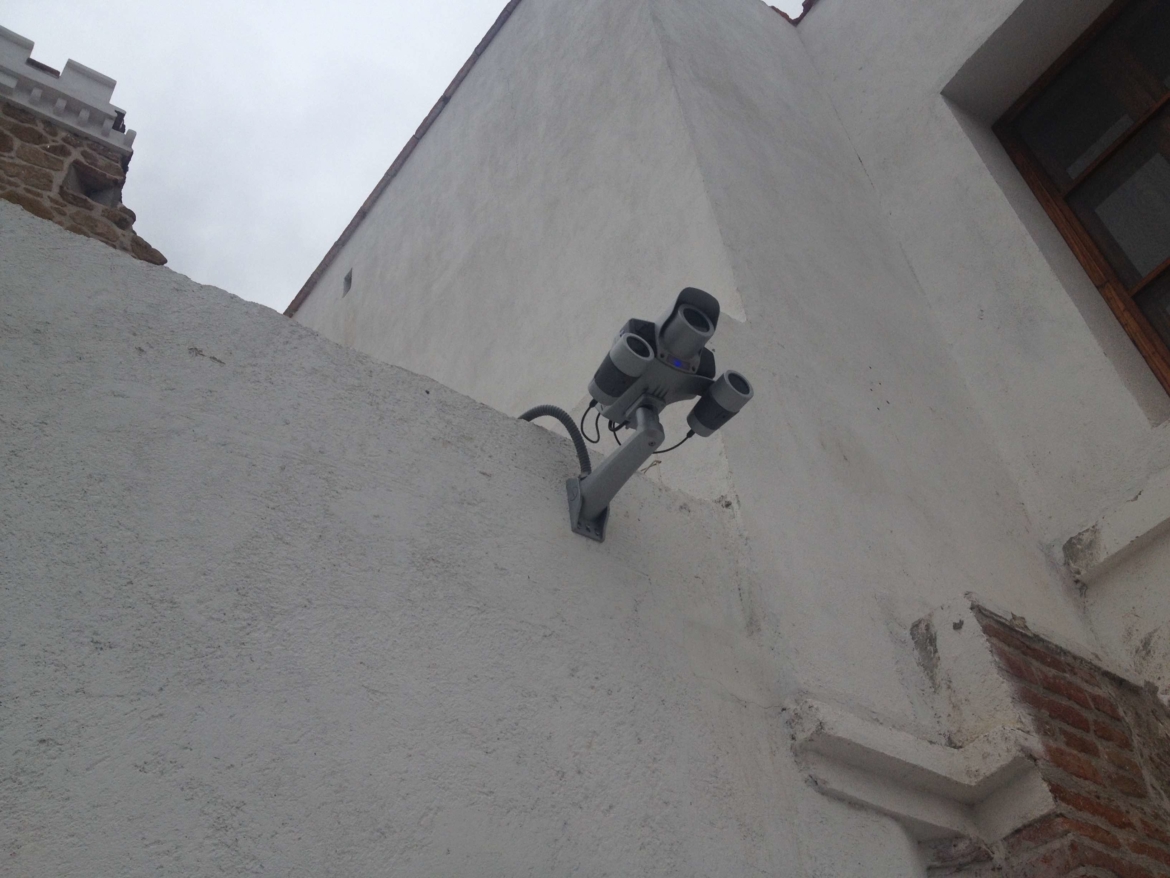 IMG_3942.jpeg