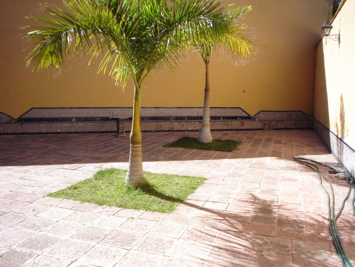 DSC00545.jpg