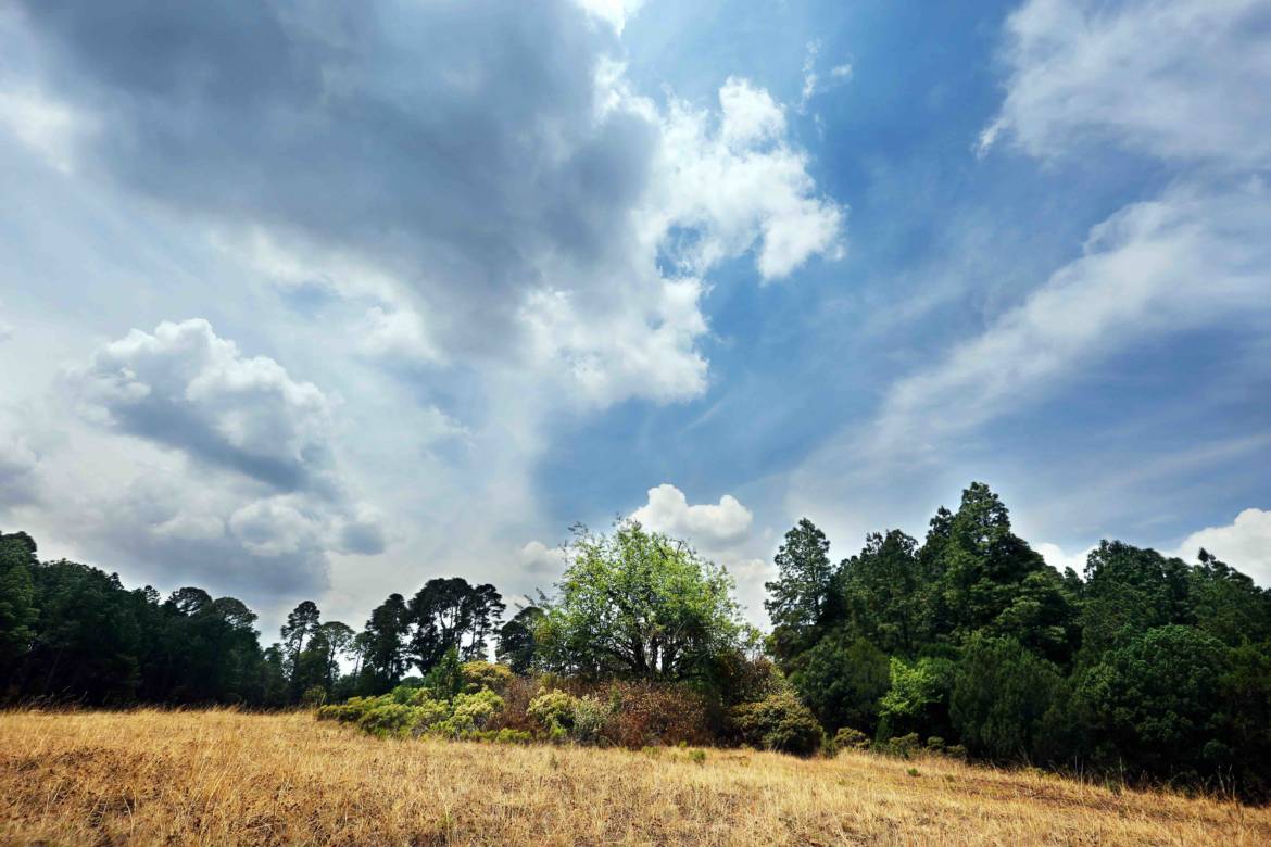 RY-Paisaje-7.jpeg