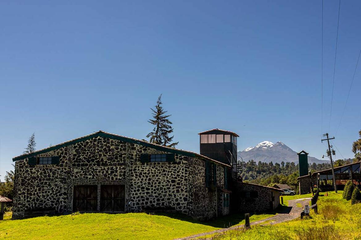 Alpinia2023-34.jpg